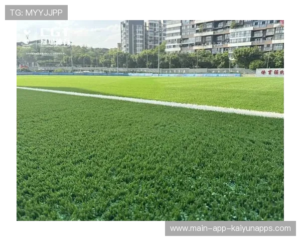 体育新能源场馆试点，绿色赛事成趋势